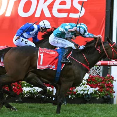 Hong Kong's Romantic Warrior wins $5 million Cox Plate