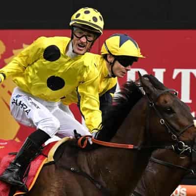 Zahra picks Without A Fight for Melbourne Cup