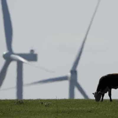 'Serious concerns' over Australia's soil carbon scheme