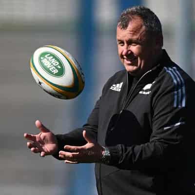 All Blacks coach Ian Foster spruiked for Wallabies role