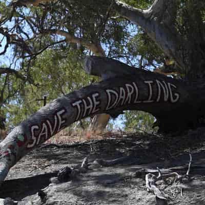 Review damns delivery of Murray-Darling Basin plan