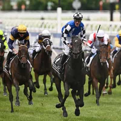 Mark Zahra makes peace with massive Melbourne Cup call