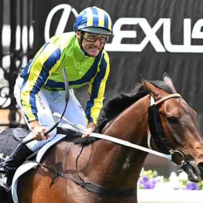 Damien Oliver steers Kalapour into Melbourne Cup field