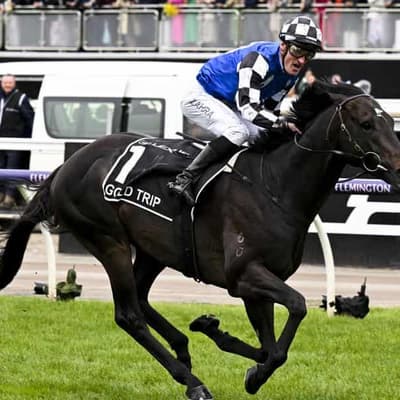 Maher's Gold Trip warning ahead of Vauban Cup showdown