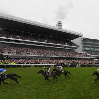 Photo finish looms for Melbourne Cup interest rate call