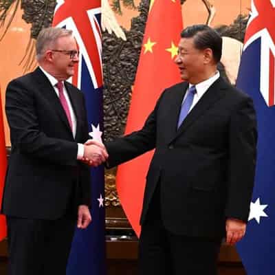 China, Australia on right path, Xi tells Albanese