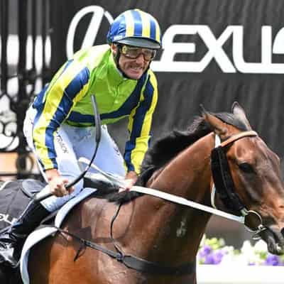 Oliver's Cup mount Alenquer faces late inspection