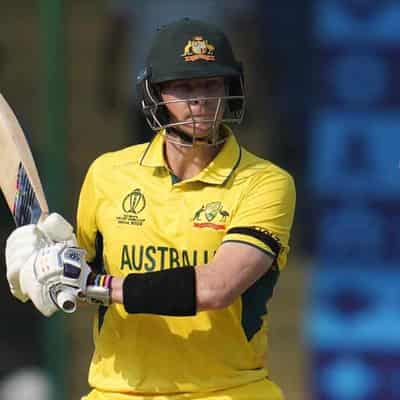 Smith's vertigo could put World Cup plans in a spin