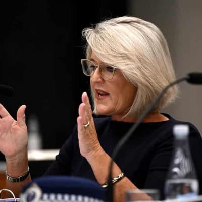 'Antiquated' police system failing on domestic violence