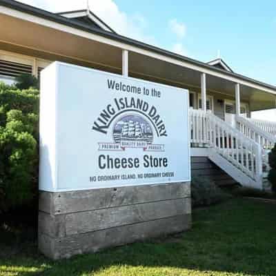 Award-winning cheese manufacturer could be sold