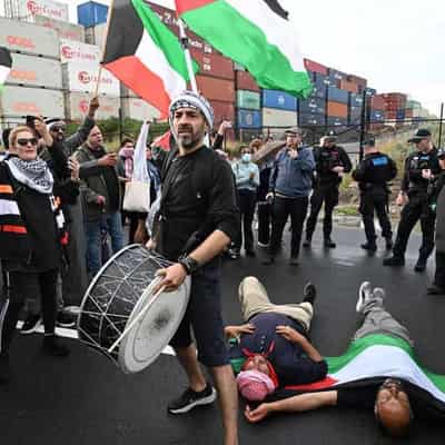 Pro-Palestine protesters block Israeli shipping line