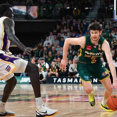 Tasmania skipper Steindl gears up for 300th NBL game