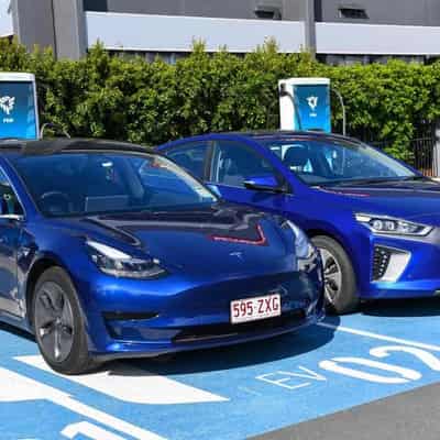 Businesses still in the slow lane for electric vehicles