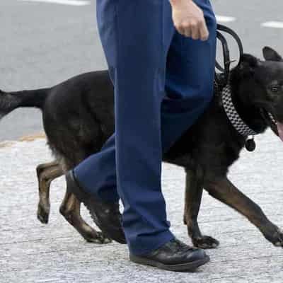 NT police ignored DV claims and set dog on a child