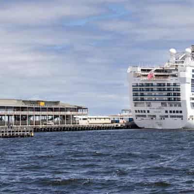 Cruise ship doctor declares dual virus outbreaks over