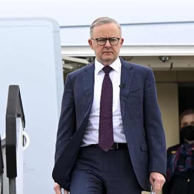 Climate, trade on agenda for Albanese at APEC summit