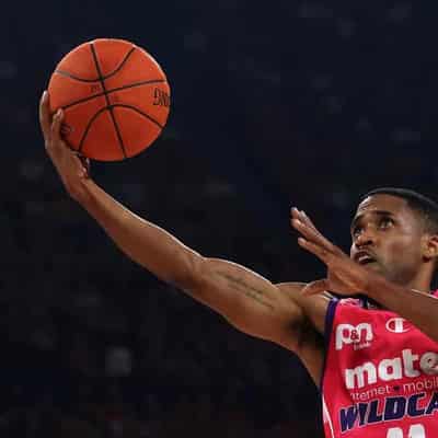 Wildcats keep rolling with fourth straight NBL win