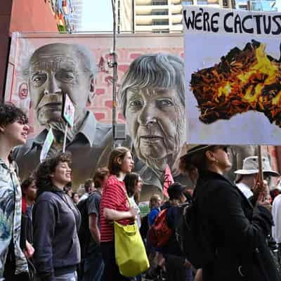 Students skip school to rally over climate 'shame'