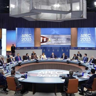 APEC leaders divided on Ukraine, Gaza, back WTO reform