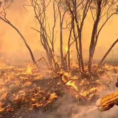 People told to leave over fast-moving Qld bushfire