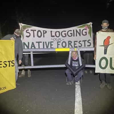 Doctor arrested at blockade targeting Forestry Corp