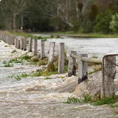 'We went backwards': response to floods spark concerns