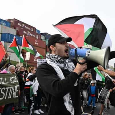 'Professionals' blamed for pro-Palestine protest clash