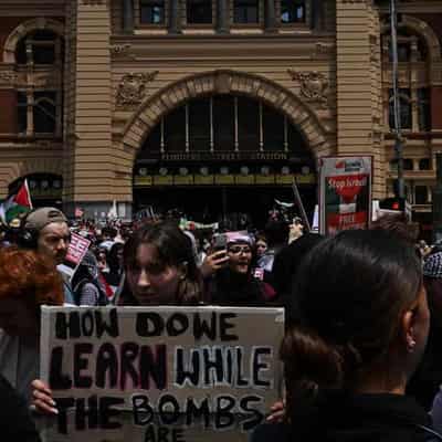 Students rally to support a free Palestine