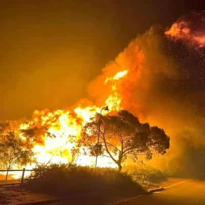 Homes lost in city bushfires with fears toll could rise