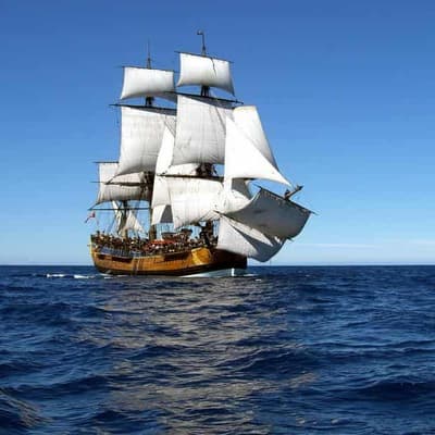 Fresh evidence in mystery of Endeavour's resting place