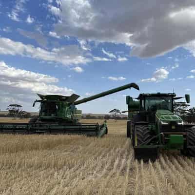 Croppers warn winter harvest is not looking great