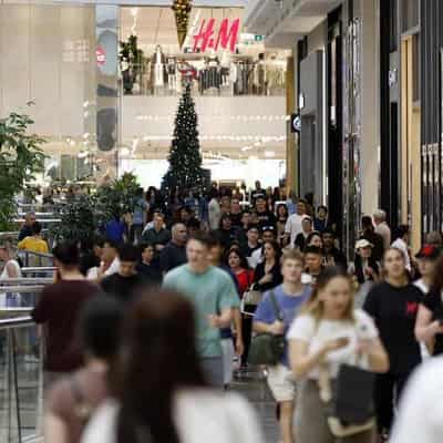 Shoppers spend big on Black Friday sales