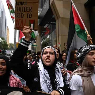 'Get educated': students strike to support Palestinians