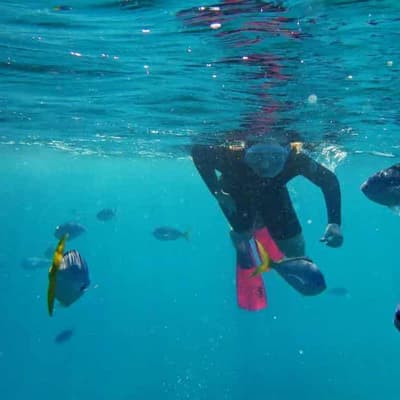Calls for reef protection after tourism industry boost