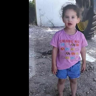 4 year old US girl among hostages released by Hamas
