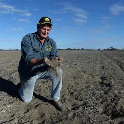 Digging in to improve Australia's poor soil health