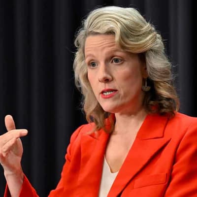 Laws stripping terrorists' citizenship pass lower house