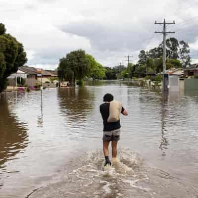 Climate disaster to cost $185b as biodiversity declines